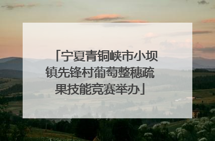 宁夏青铜峡市小坝镇先锋村葡萄整穗疏果技能竞赛举办